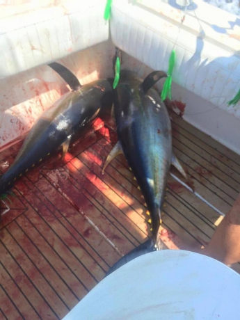 Flexiteek.. il teak sintetico adatto anche ai pescatori. Flexiteek.. il teak sintetico adatto anche ai pescatori.