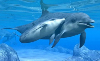 Imbarcazioni a servizio della scienza Imbarcazioni a servizio della scienza